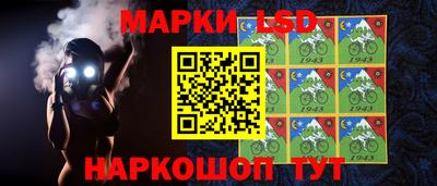 сатива Кинель