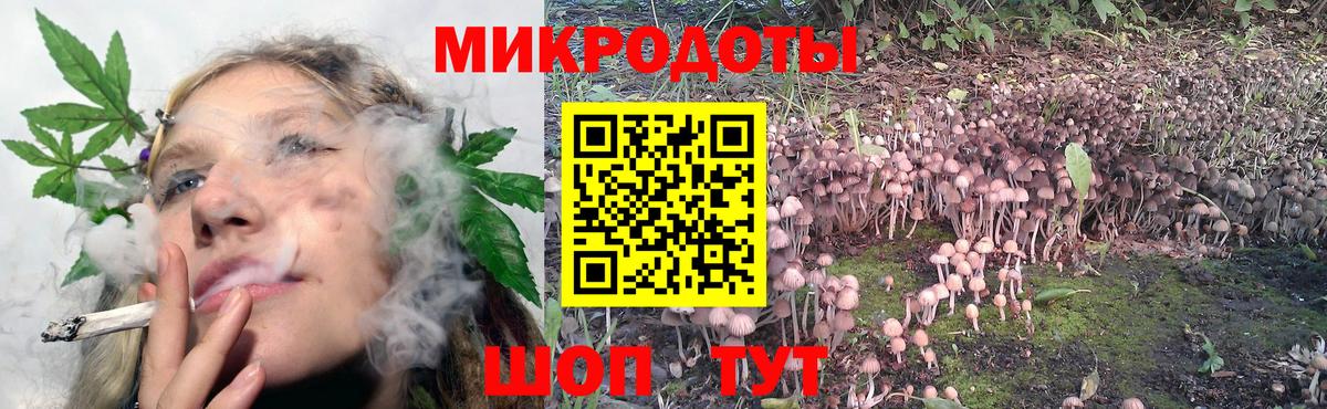 Псилоцибиновые грибы Magic Shrooms Холмск