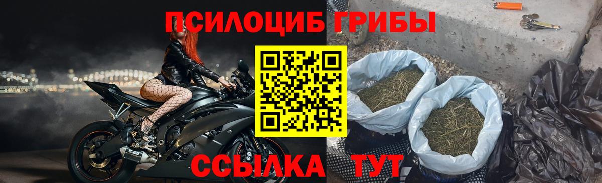 Холмск  Псилоцибиновые грибы ЛСД  закладки  Вход с VPN  Псилоцибиновые грибы Psilocybe 