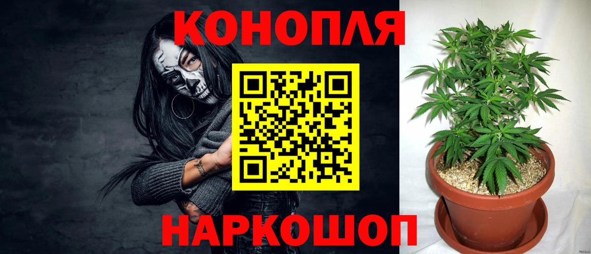 Марихуана тримм Холмск
